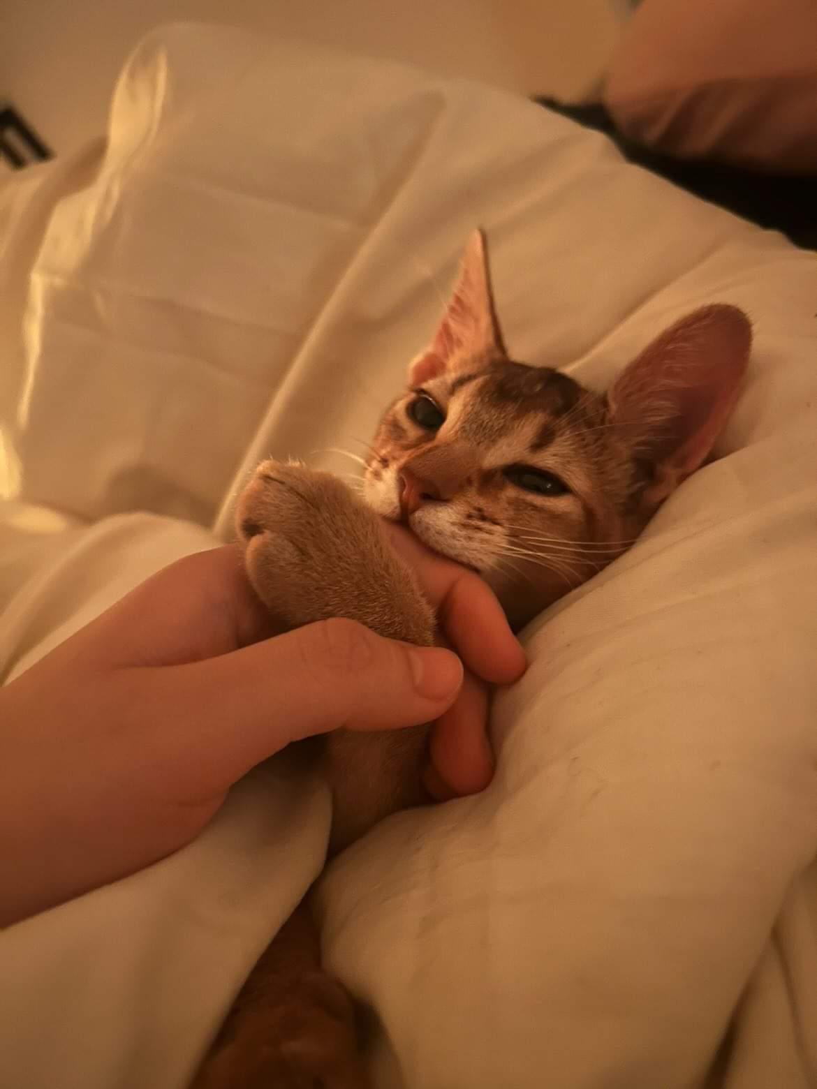 Portrait Photography