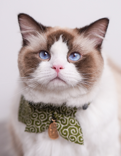 Landscape Photography