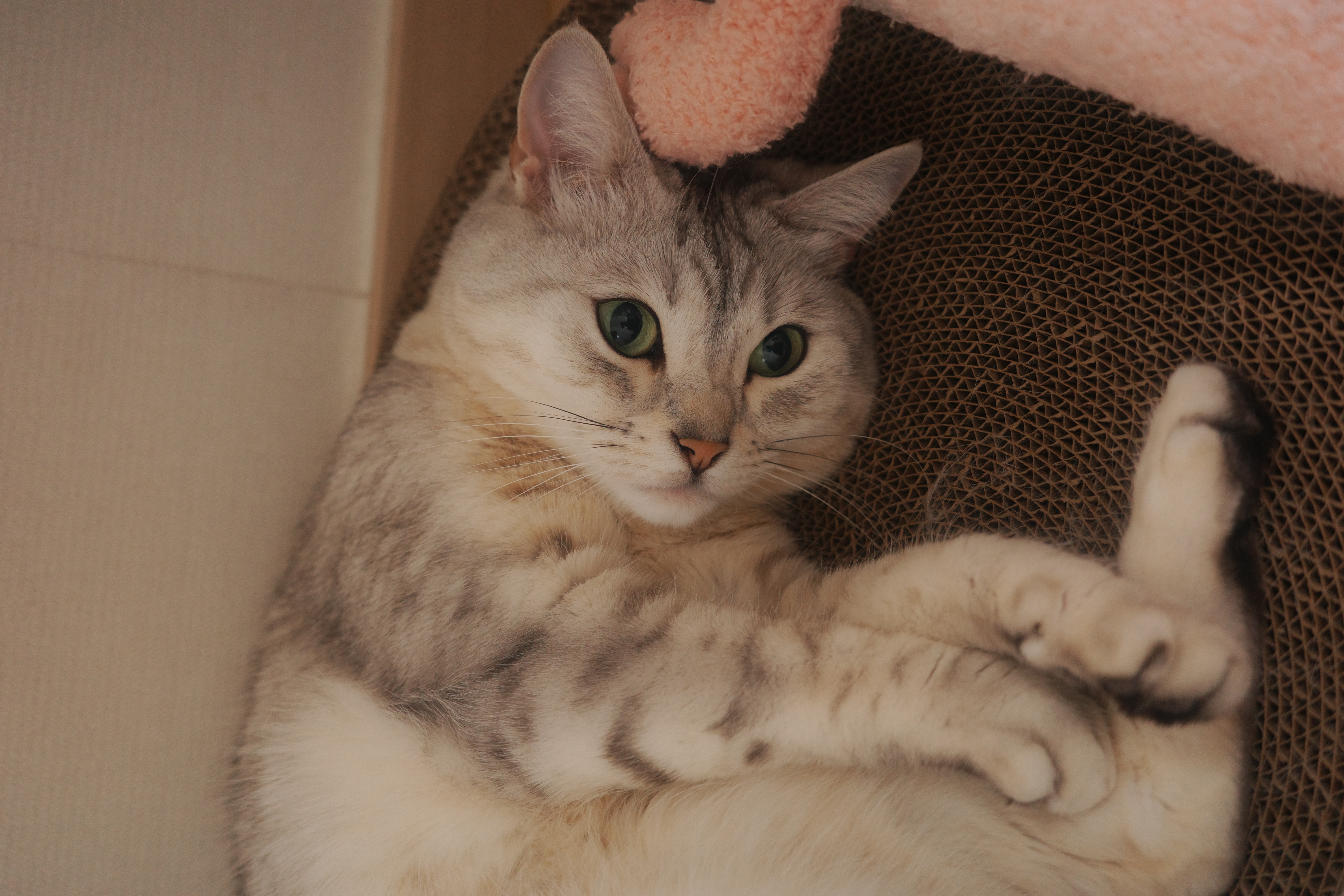 Architecture Photography