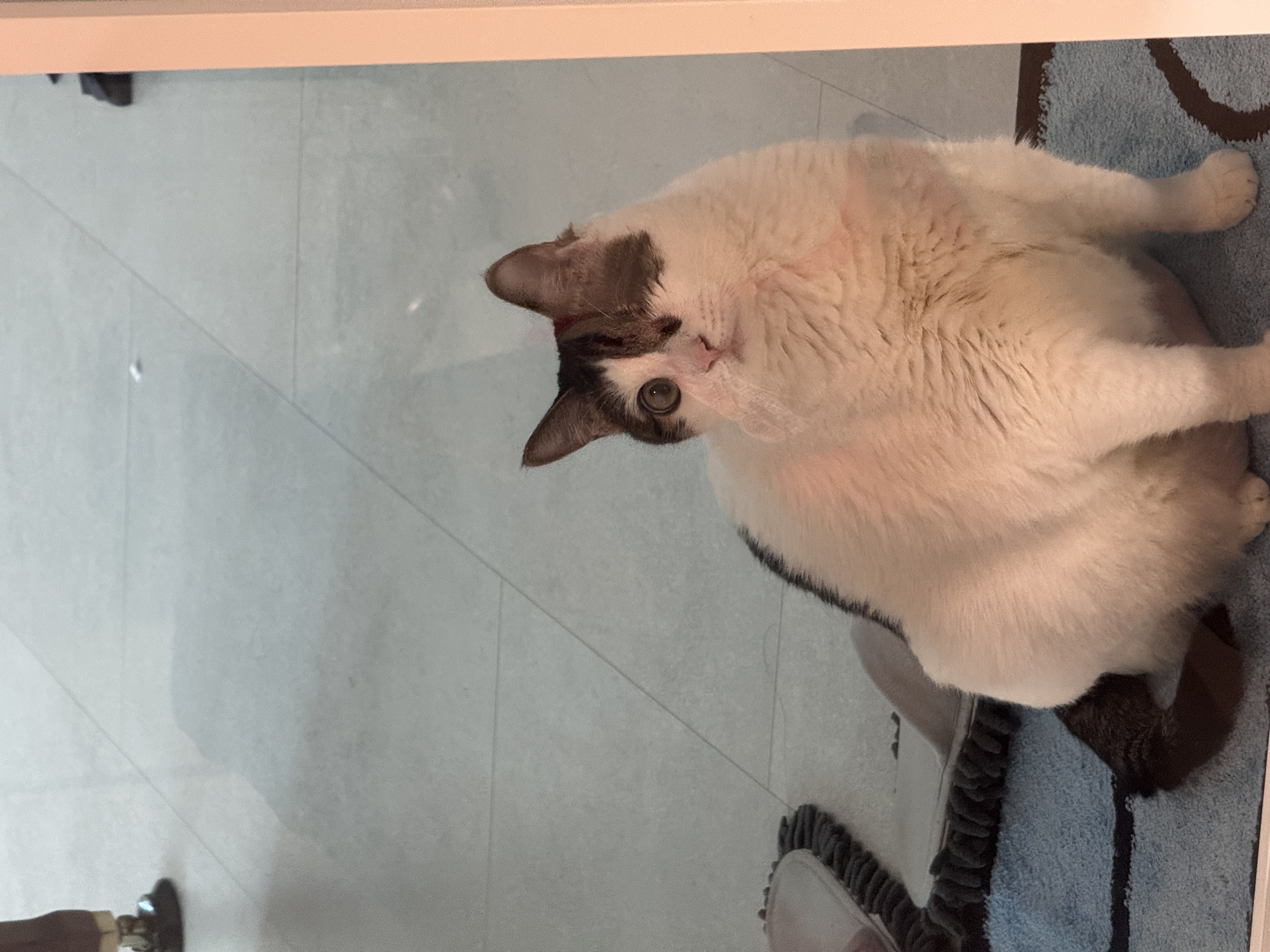 Wildlife Photography