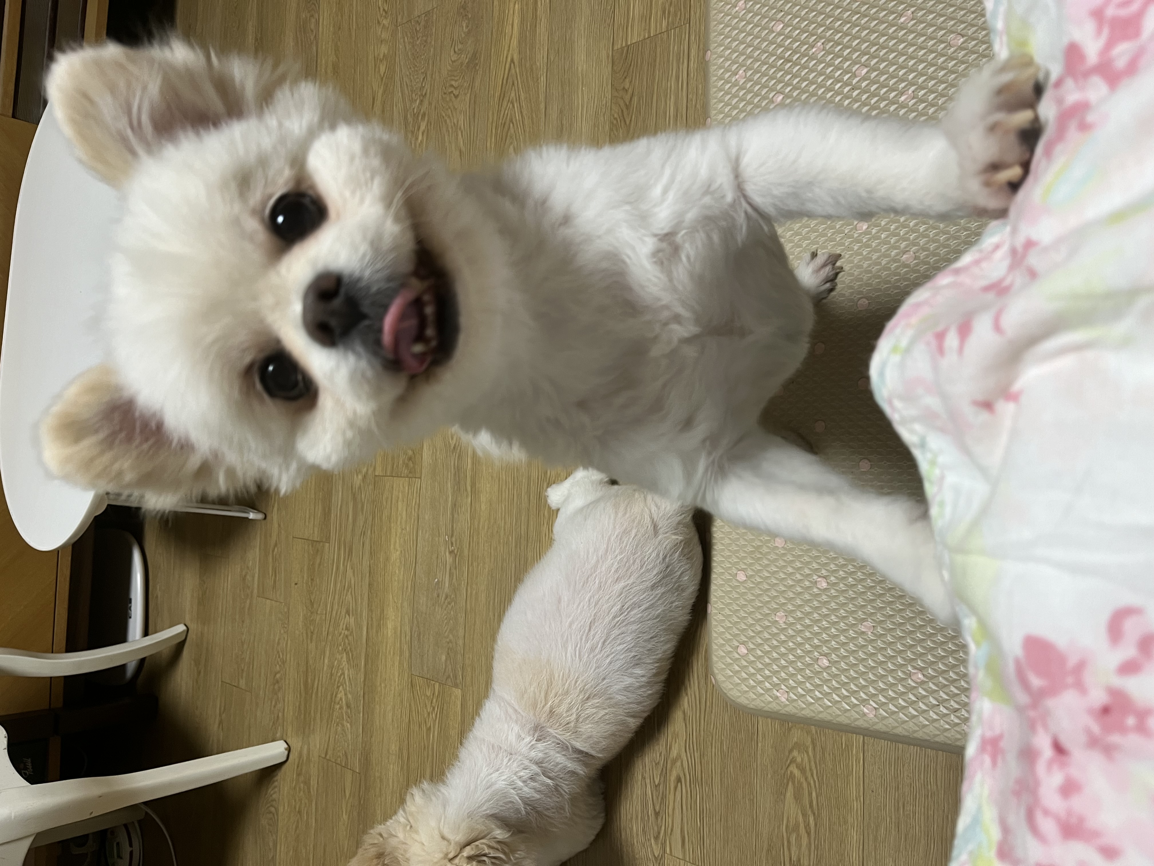 Black and White Photography