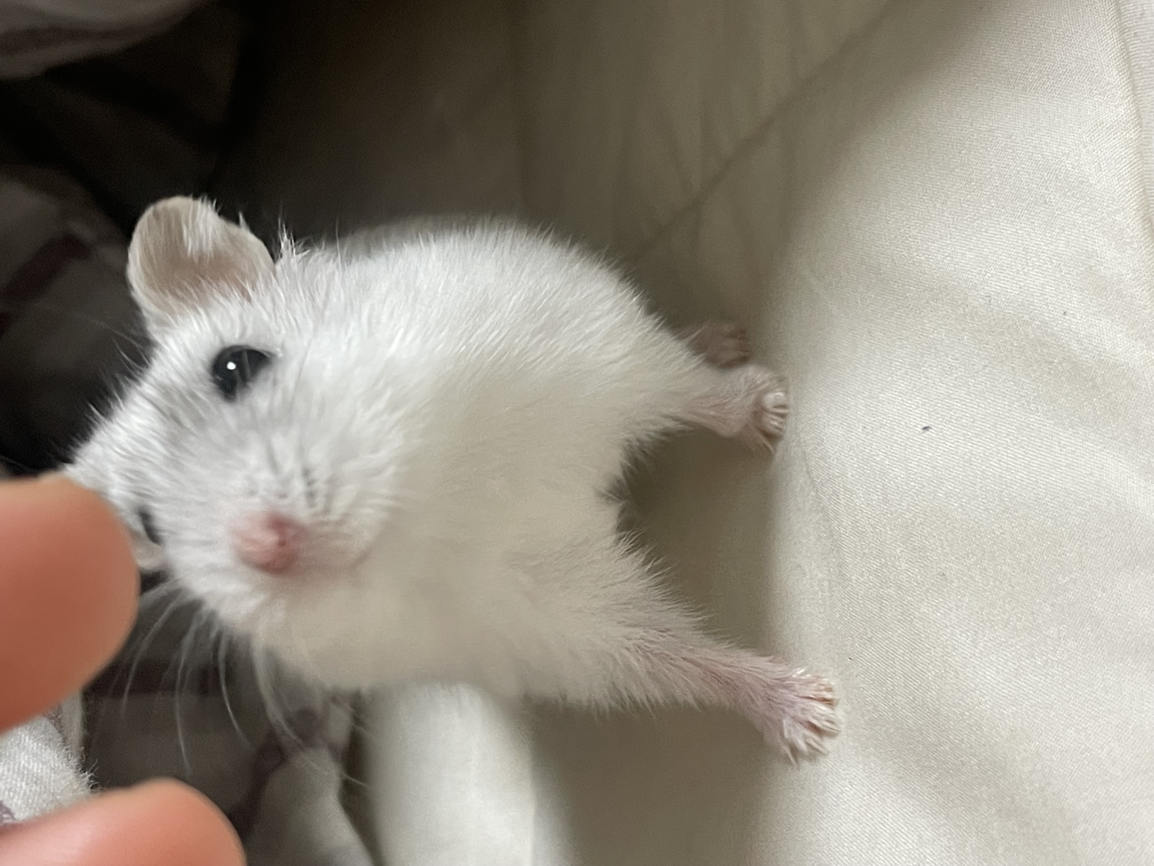 Abstract Photography